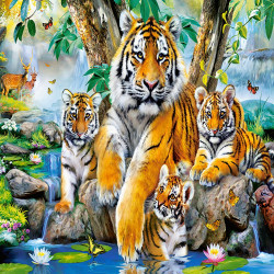Тигри край потока