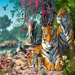 Резерват за тигри 300600